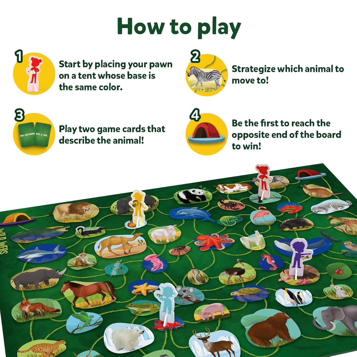 Arjoos | Skillmatics Board Game - Wild Webs | Animal Learning Game | Gifts | Family Friendly Games for Ages 6 and Up Years| for kids | for Both boys and girls