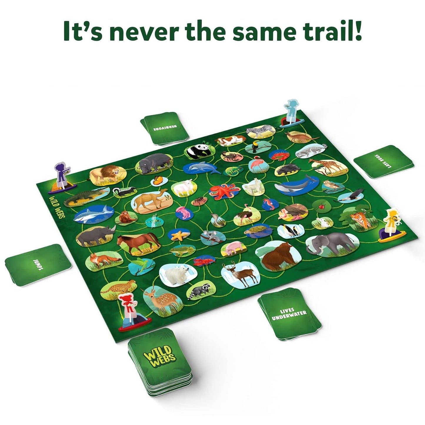 Arjoos | Skillmatics Board Game - Wild Webs | Animal Learning Game | Gifts | Family Friendly Games for Ages 6 and Up Years| for kids | for Both boys and girls