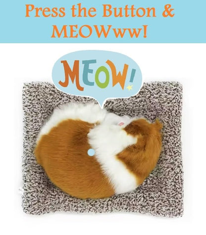 Arjoos | Cute Sleeping Cat Plush Toy with Meow Sound, Gift for Kids | Return Gift For Kids - ( Pack of 1 , White )