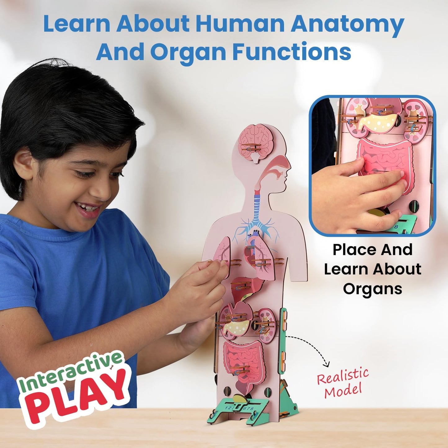 Arjoos | Smartivity Human Body STEM DIY Toys for Kids